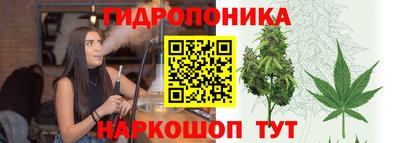 бошки Малгобек