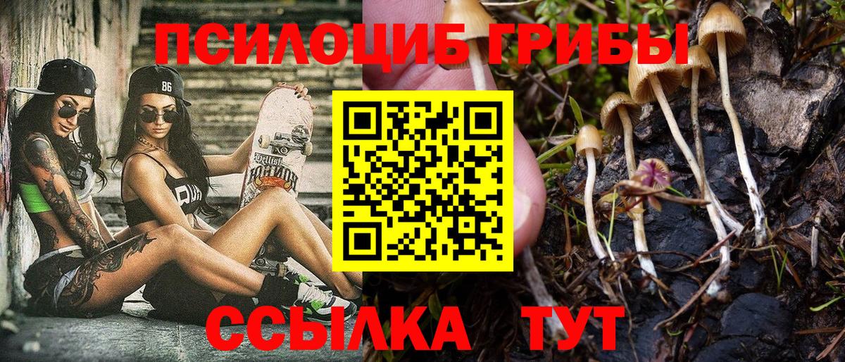 Аксай  Галлюциногенные грибы MAGIC MUSHROOMS  Вход с VPN  Галлюциногенные грибы Psilocybe 
